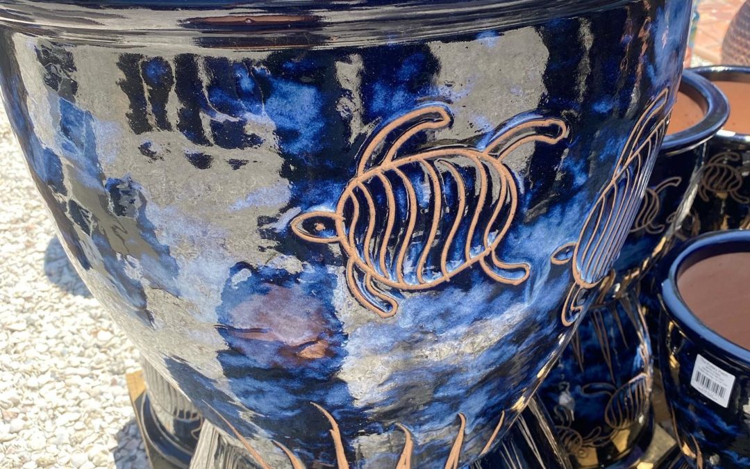 Turtle Pottery